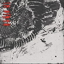 Witch Fever : In Birth